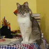 Отзыв от Вероника Наумова